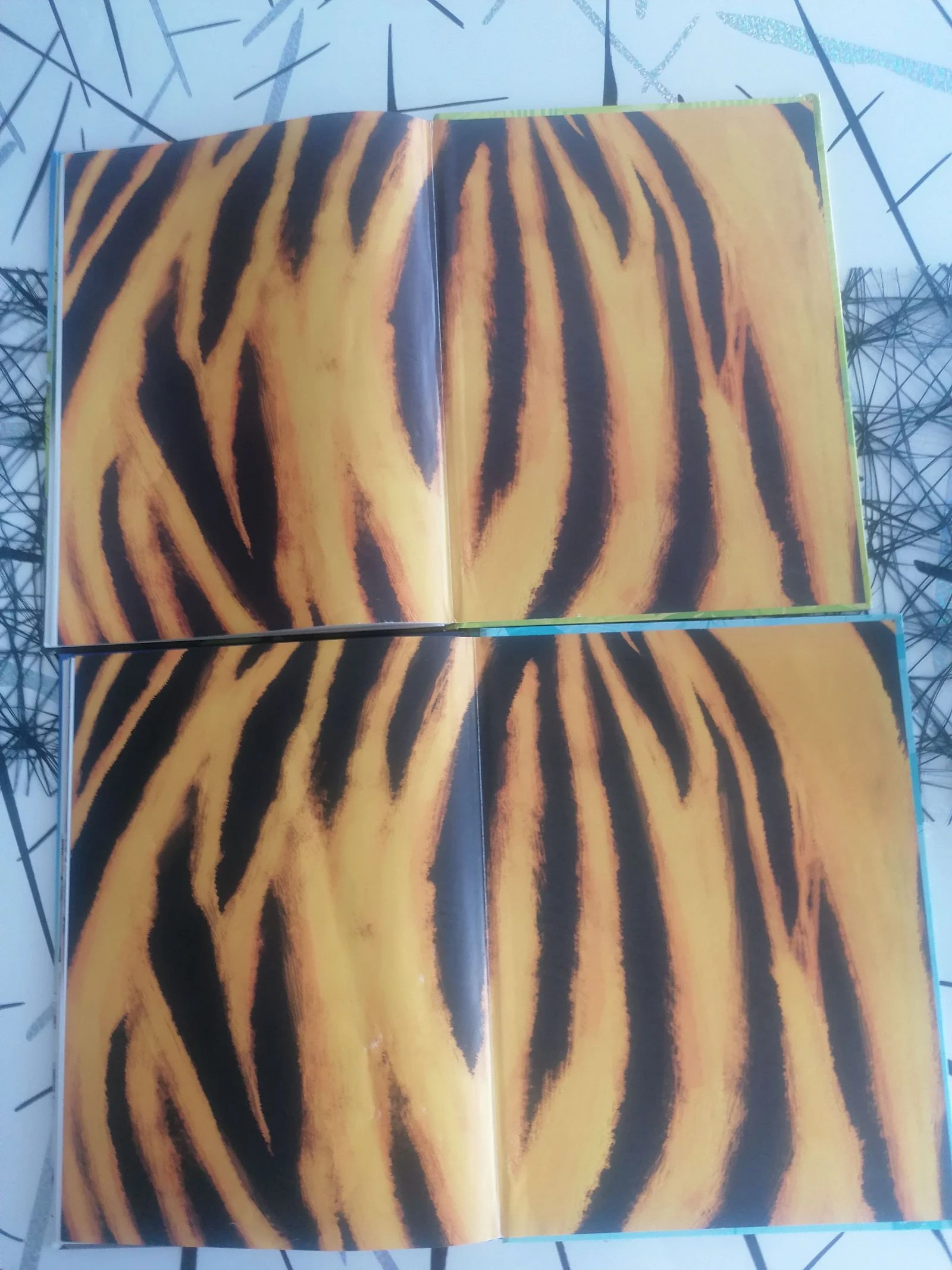 Lote de 2 BD Os As da Selva 📚 – photo 16